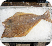 Frozen- Atlantic Halibut 1Lb White Fish