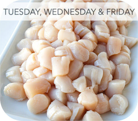 Frozen- Bay Scallops 8Oz White Fish