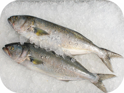 Frozen- Bluefish Collars 1Lb