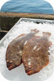 Frozen- Fluke 1Lb White Fish