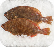 Frozen- Fluke 1Lb White Fish