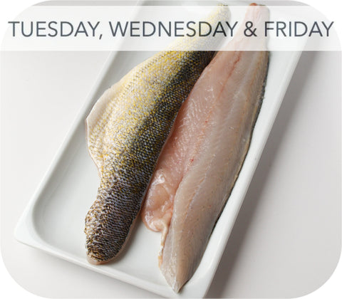 Fresh- Jumbo Walleye Fillet White Fish