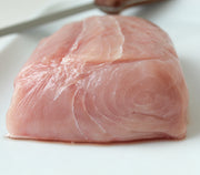 Frozen- Porbeagle Shark 1lb Frozen Retail