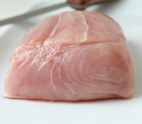 Frozen- Porbeagle Shark 1lb Frozen Retail