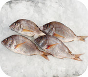 Frozen- Scup Fillet 1Lb White Fish