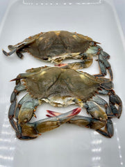 Frozen- Softshell Crabs 2Ea Pickup