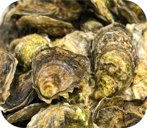 Fresh- Old Cove Oysters - Duxbury Ma 20Ct
