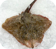 Fresh - Skate Fillet