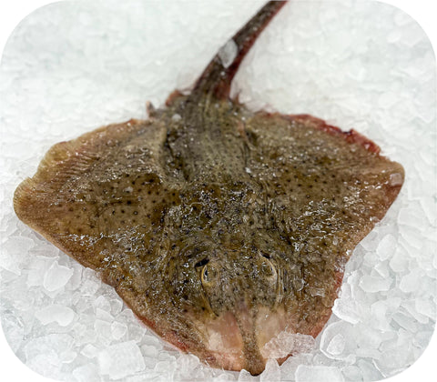 Fresh - Skate Fillet